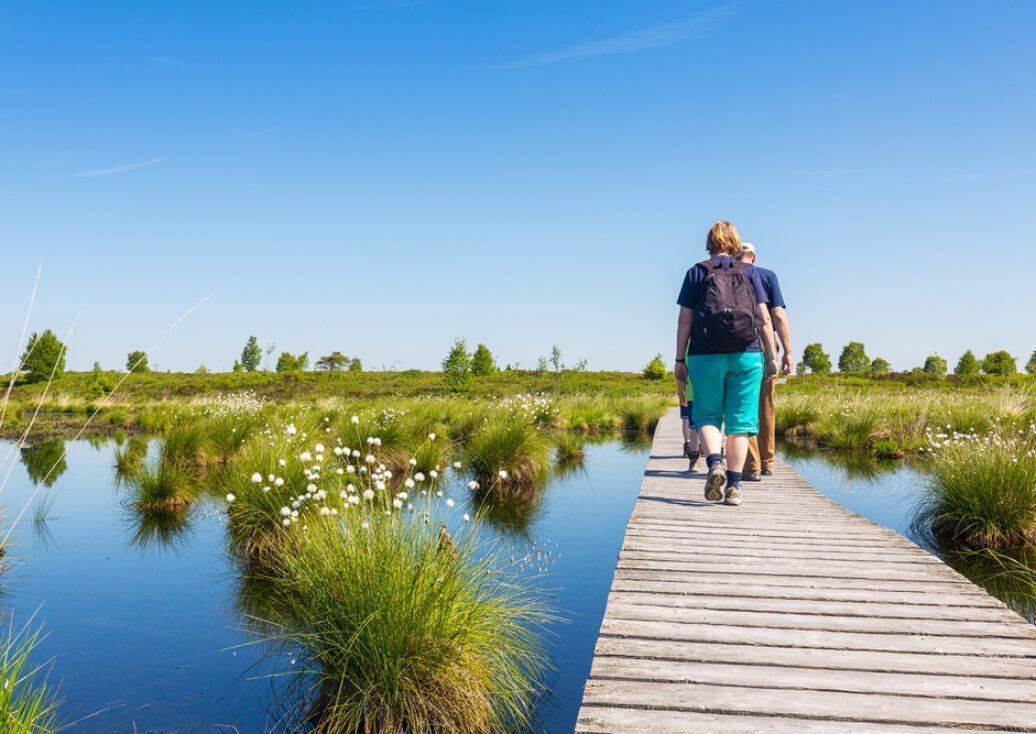 shutterstock_286084400