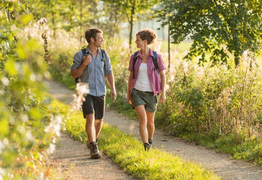 wirtzfeld-wandern-rodder-hoehe-04-copyright-ostbelgieneu